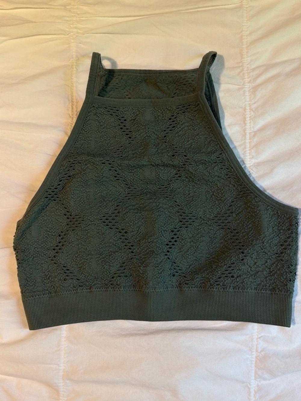 aerie Green Lace High-Neck Crop Tank